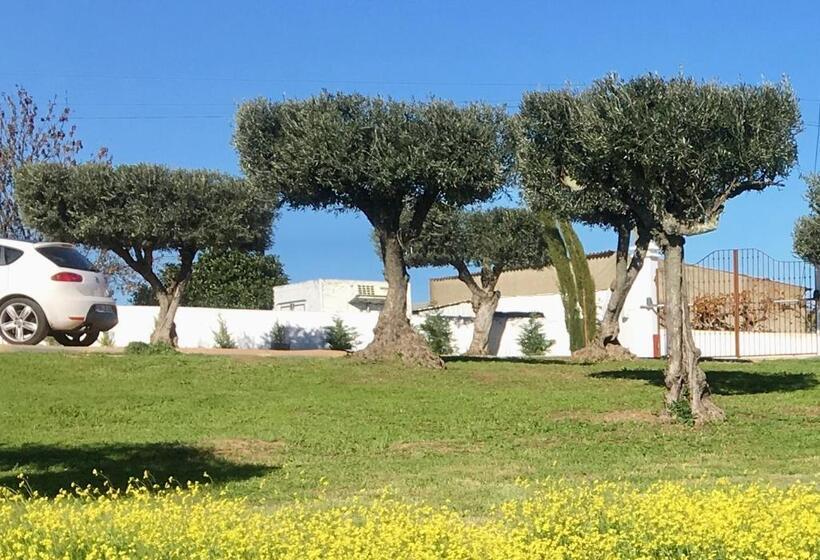 Вилла 3 Спальни, Aleixo S House | Alentejo