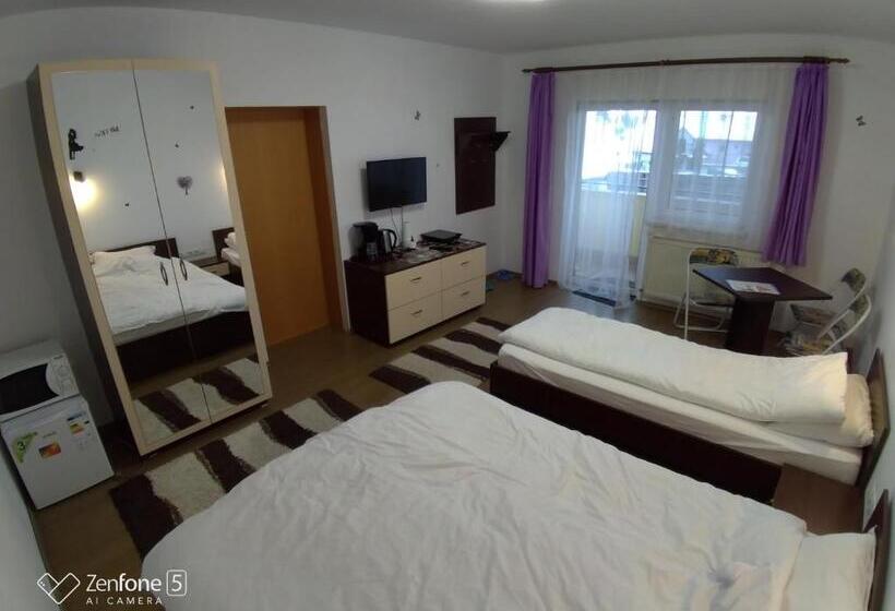 스탠다드 트리플 발코니 룸, Sibiu 33