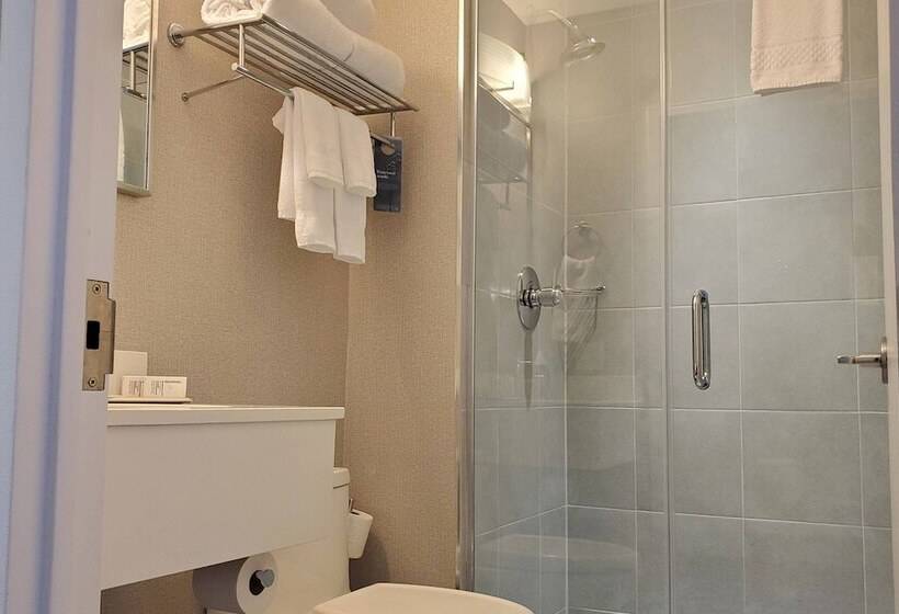 Quarto standart cama de casal, Fairfield Inn & Suites By Marriott New York Brooklyn