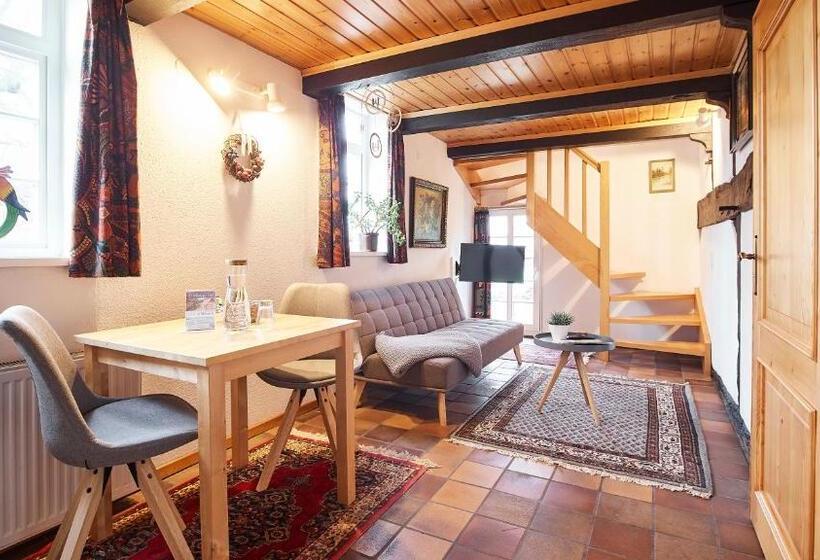 Апартаменты 1 Спальня, Appartementhotel Blomberger Hof