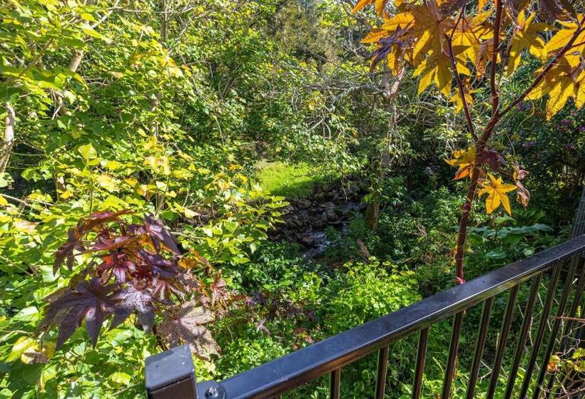 Номер Superior, Waimoana Garden Accommodation