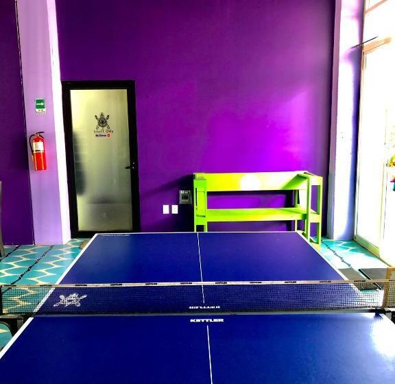 Łóżko we Wspólnym Pokoju, Hostal Tortuga