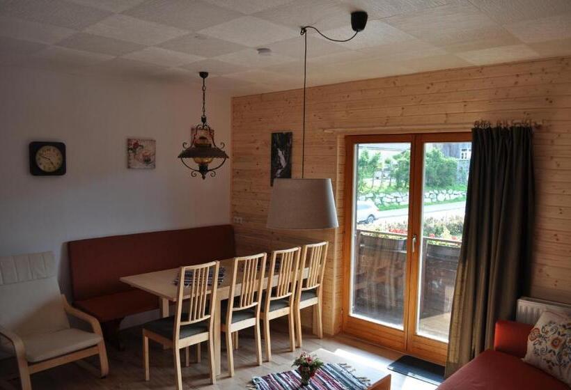 آپارتمان 3 خوابه, Kärnten Appartements