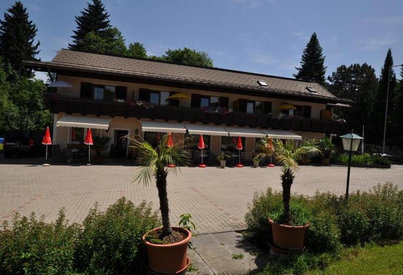 آپارتمان 1 خوابه, Kärnten Appartements