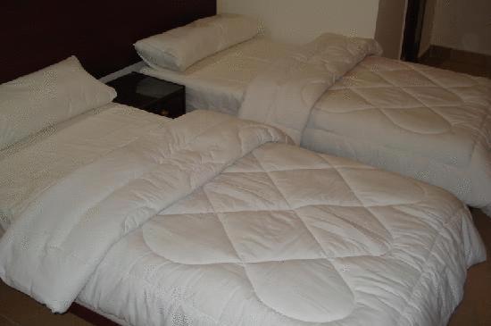 اتاق استاندارد سه نفره, Transit Alexandria Hostel