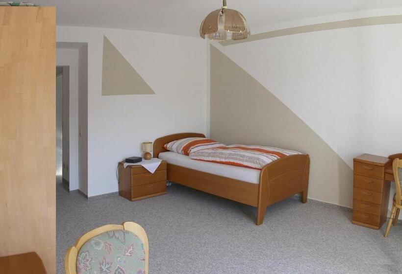 Одноместный Номер с Террасой, Pension Garni Haus Bismarckhöhe