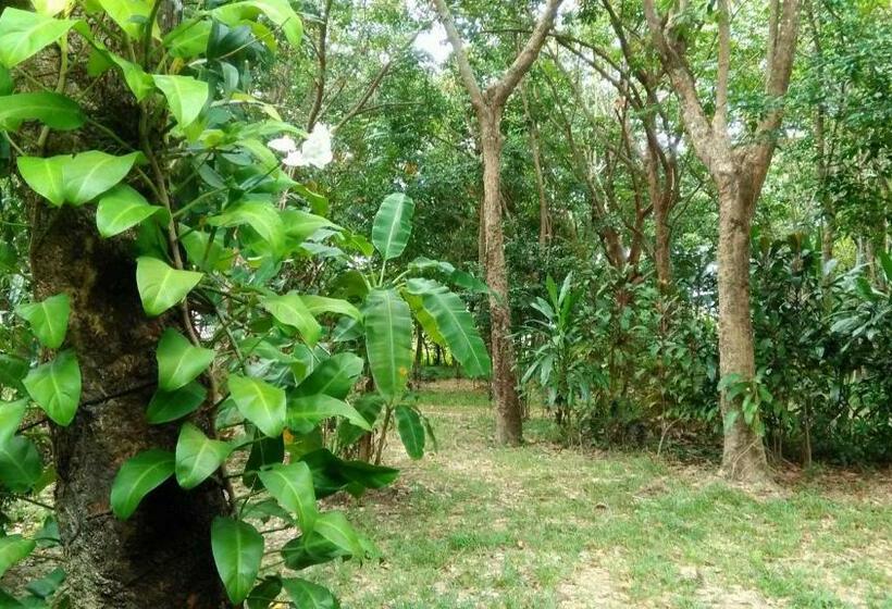 Номер Стандарт Вид на Сад, Dugong Koh Sukorn