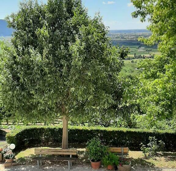 استودیو خانوادگی, Il Castagneto