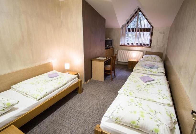 Студия Стандарт, šomka