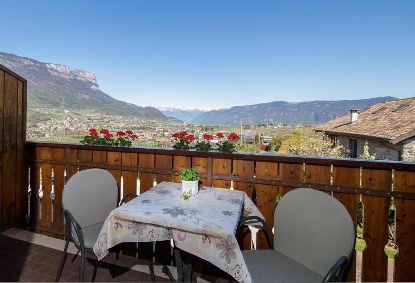 Апартаменты 1 Спальня, Appartements Weisshauserhof