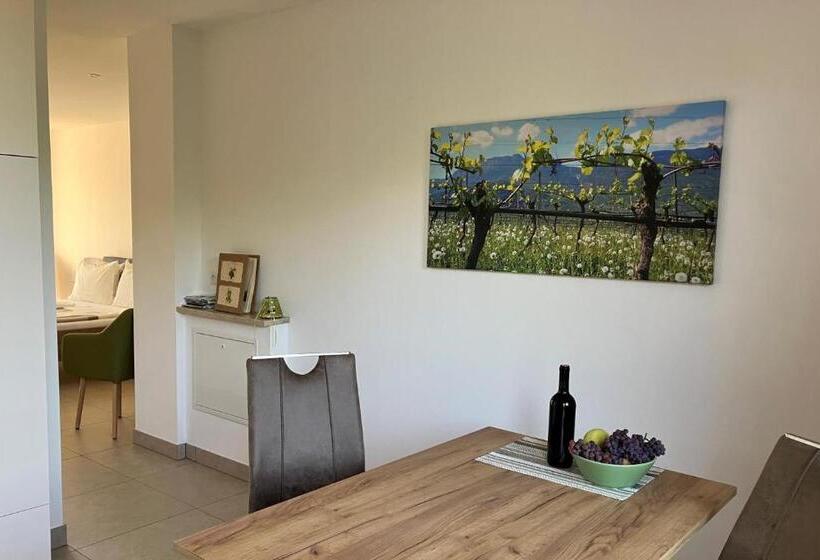 Апартаменты 1 Спальня с Террасой, Appartements Weisshauserhof
