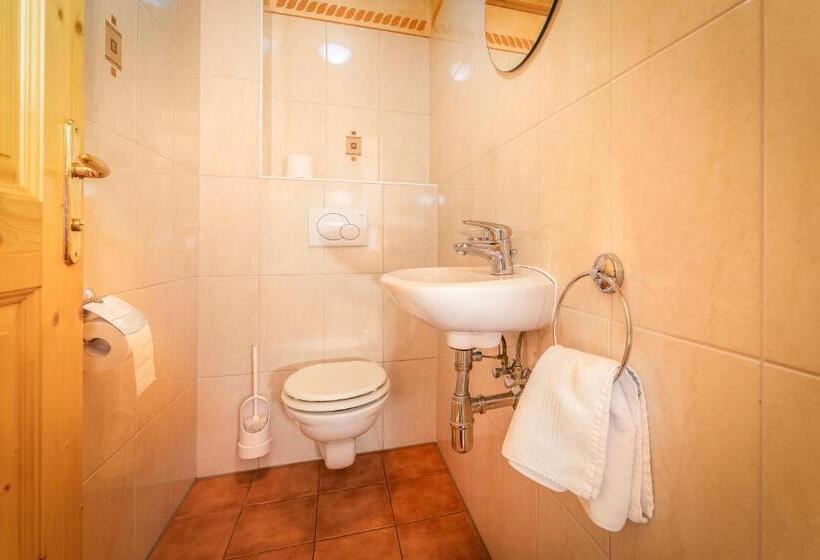 Апартаменты 1 Спальня, Alfaierhof Bergheimat