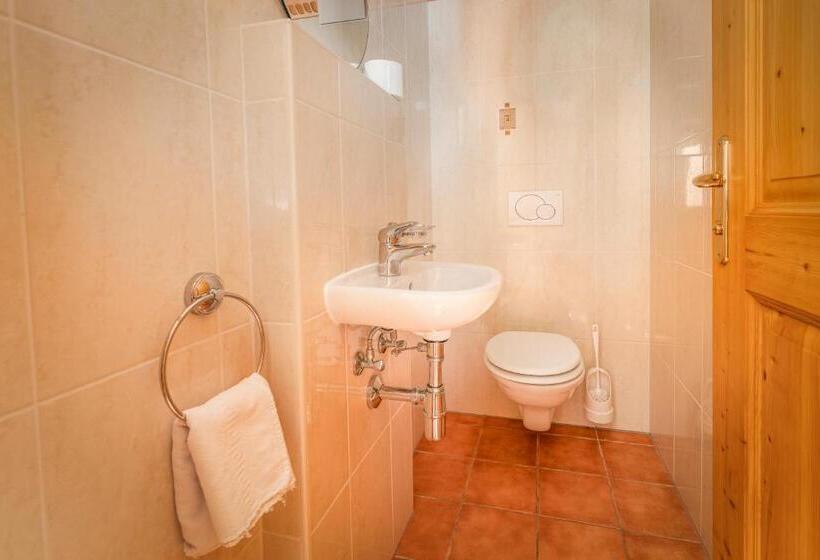 Апартаменты 1 Спальня, Alfaierhof Bergheimat