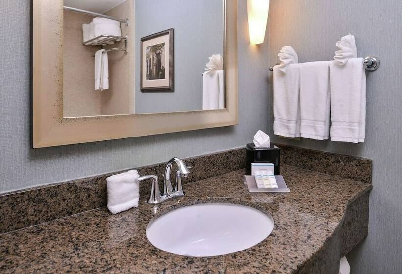 Стандартный Номер Кровать Кинг, Hilton Garden Inn Jacksonville Downtown Southbank