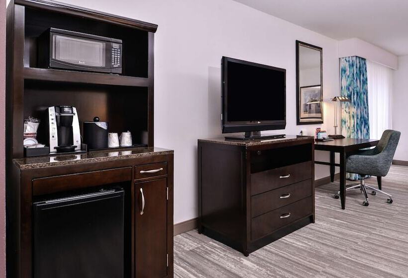 Полулюкс Кровать Кинг, Hilton Garden Inn Jacksonville Downtown Southbank
