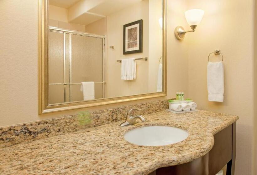스탠다드 룸 킹사이즈 침대, Holiday Inn Express Las Cruces North, An Ihg