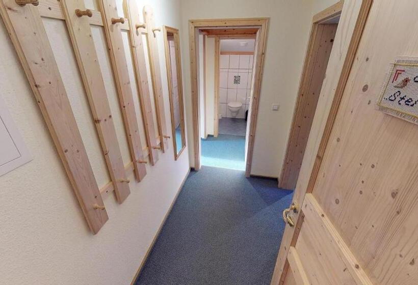 Апартаменты 1 Спальня с Балконом, Chalet Tirol Waidring