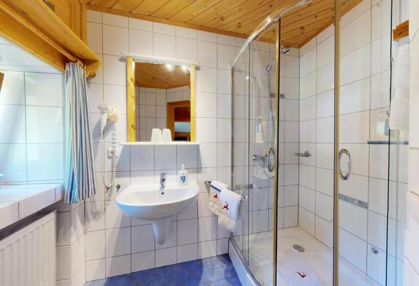 Апартаменты 1 Спальня с Балконом, Chalet Tirol Waidring