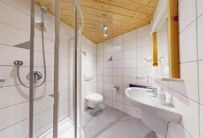 Апартаменты 2 Спальни с Балконом, Chalet Tirol Waidring