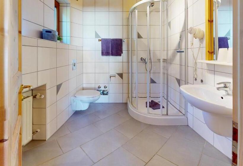 Апартаменты 2 Спальни с Балконом, Chalet Tirol Waidring