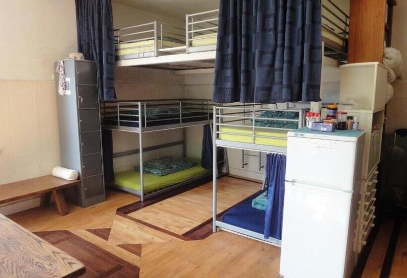 Кровать в Общей Комнате, Frank S Backpackers