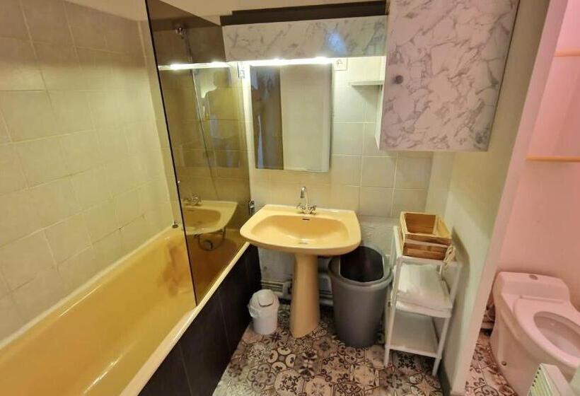 Апартаменты 1 Спальня, Appart Hôtel Roanne Hyper Centre Ville
