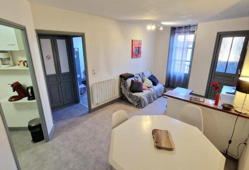 Апартаменты 1 Спальня, Appart Hôtel Roanne Hyper Centre Ville