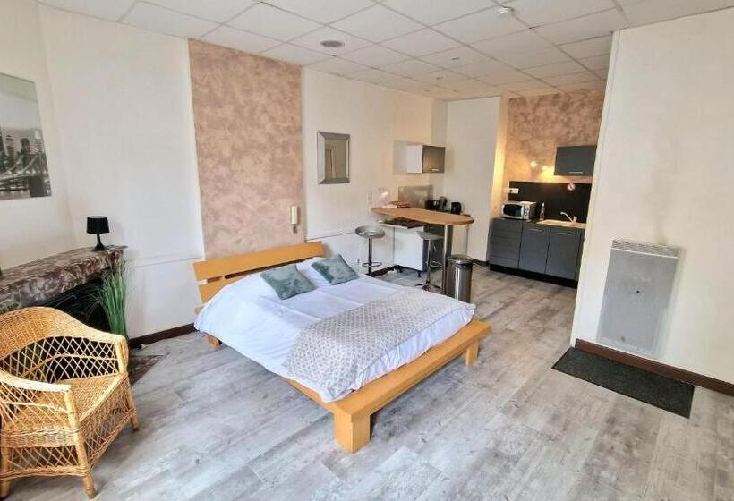 Студия Стандарт, Appart Hôtel Roanne Hyper Centre Ville
