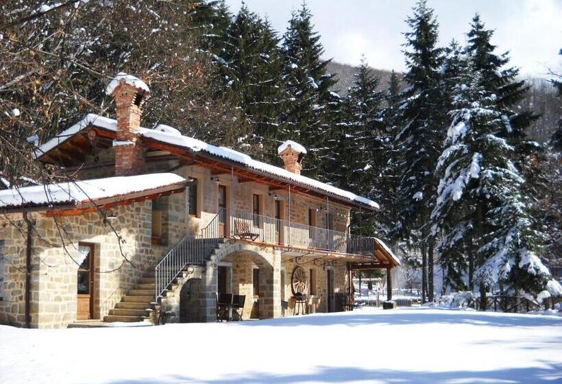اتاق اکونومی, Agriturismo La Casa Del Sarto