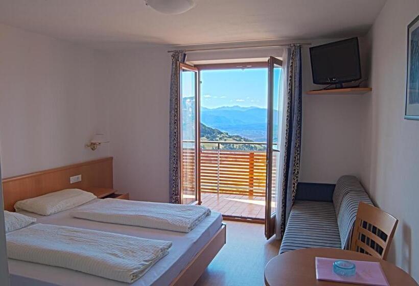 Номер Стандарт с Балконом, Pension Schlaneiderhof