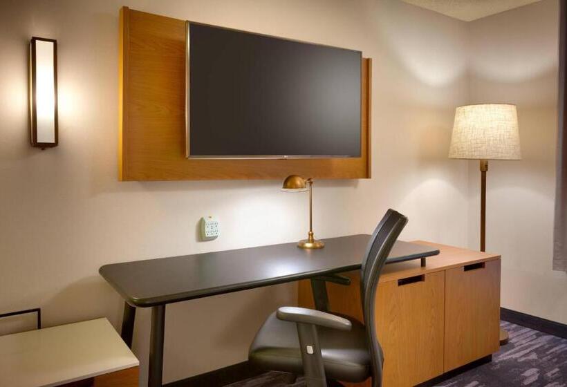 Люкс Кровать Кинг, Fairfield Inn & Suites Roswell