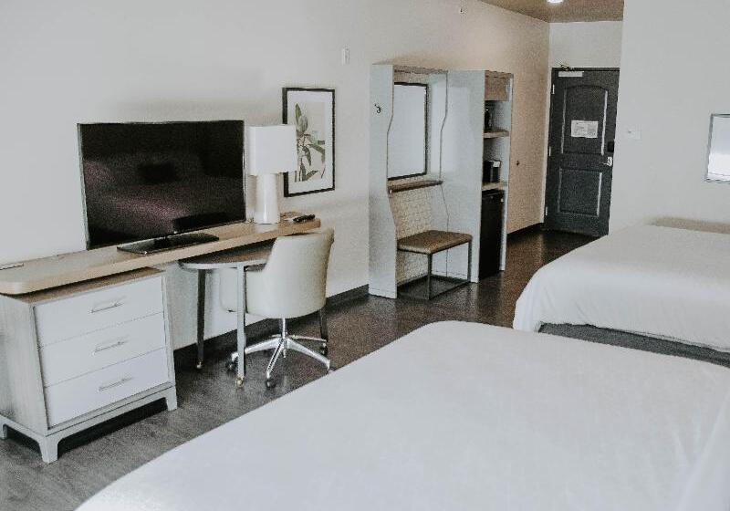 Номер Стандарт Адаптированный для Инвалидов, Holiday Inn Omaha Downtown   Waterpark, An Ihg
