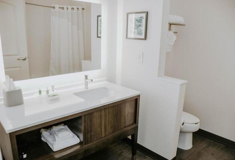 Номер Стандарт, Holiday Inn Omaha Downtown   Waterpark, An Ihg