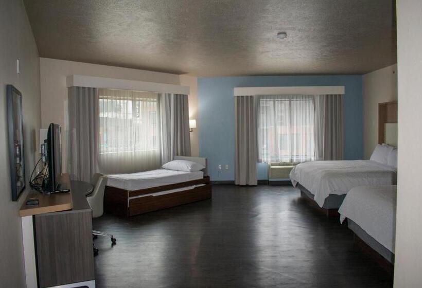 Люкс с Видом, Holiday Inn Omaha Downtown   Waterpark, An Ihg
