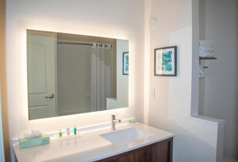 Люкс с Видом, Holiday Inn Omaha Downtown   Waterpark, An Ihg