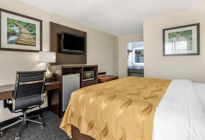 Номер Стандарт Кровать Кинг Адаптированный для Инвалидов, Quality Inn Verona  Staunton North