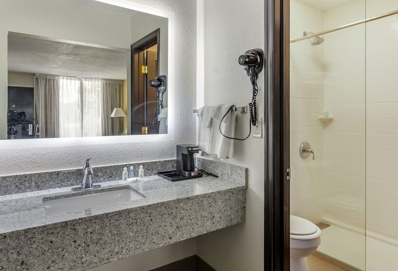 Номер Стандарт 2 Двуспальные Кровати, Quality Inn Verona  Staunton North
