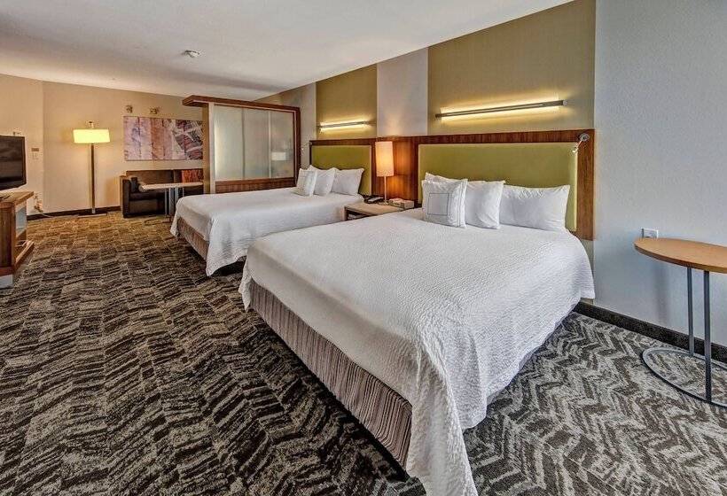 Студия Стандарт, Springhill Suites By Marriott Oklahoma City Moore