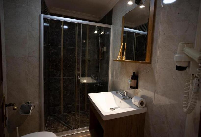 Номер Deluxe, Tashkonak Studio Suites