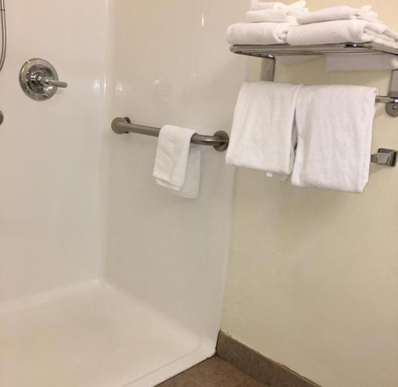 غرفة قياسية لذوى الاحتياجات الخاصة, Microtel Inn & Suites By Wyndham Indianapolis Airport