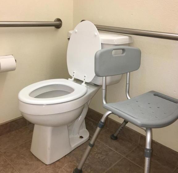 Suite Adaptada para personas con movilidad reducida, Microtel Inn & Suites By Wyndham Indianapolis Airport