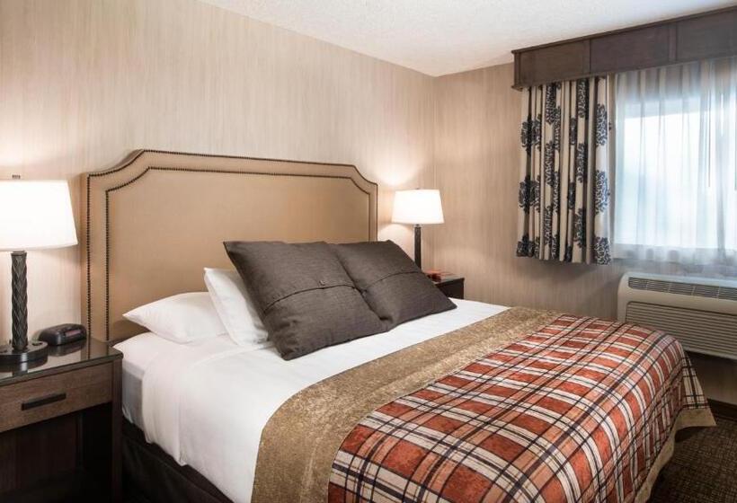 带大床的行政房间, Best Western Plus Flathead Lake Inn And Suites