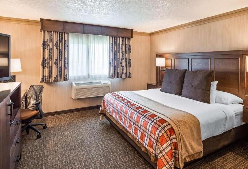 带大床的标准间, Best Western Plus Flathead Lake Inn And Suites