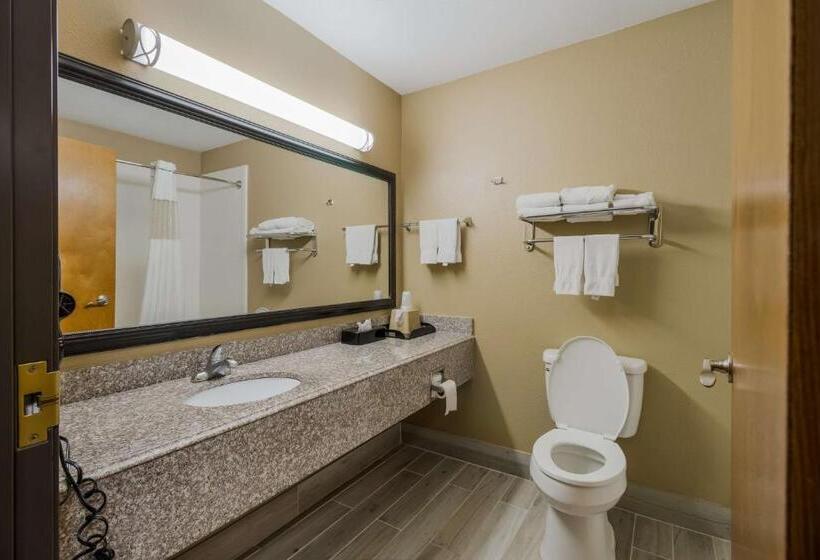 标准间, Best Western Temple Inn & Suites