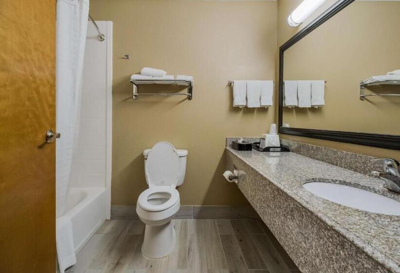 适合残疾人士使用的套间, Best Western Temple Inn & Suites