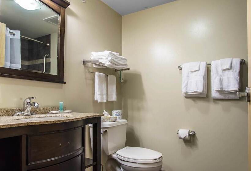 スイート, Mainstay Suites Winnipeg