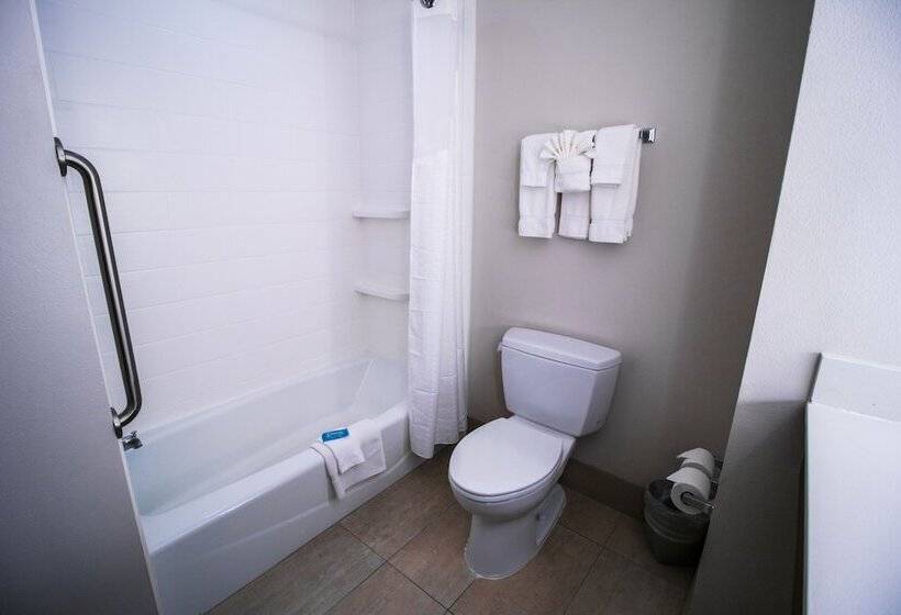 스위트, Holiday Inn Express Hotel & Suites Baton Rouge  Port Allen, An Ihg