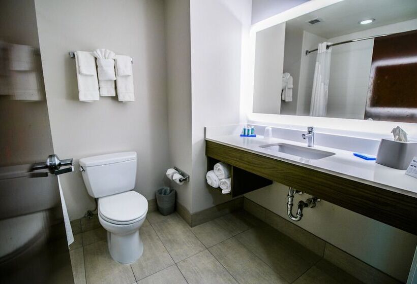 스위트, Holiday Inn Express Hotel & Suites Baton Rouge  Port Allen, An Ihg