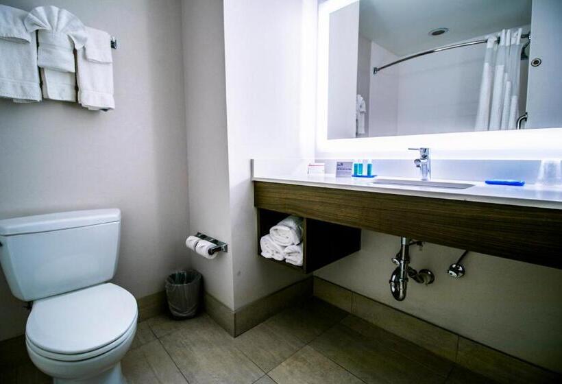 스위트, Holiday Inn Express Hotel & Suites Baton Rouge  Port Allen, An Ihg