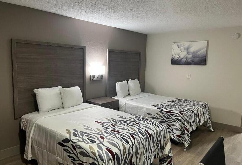 Номер Deluxe, Red Roof Inn & Suites Newport News